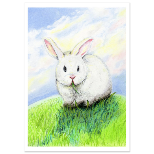 257d43c3-7616-4f28-8db5-e9c55e2fa2bf