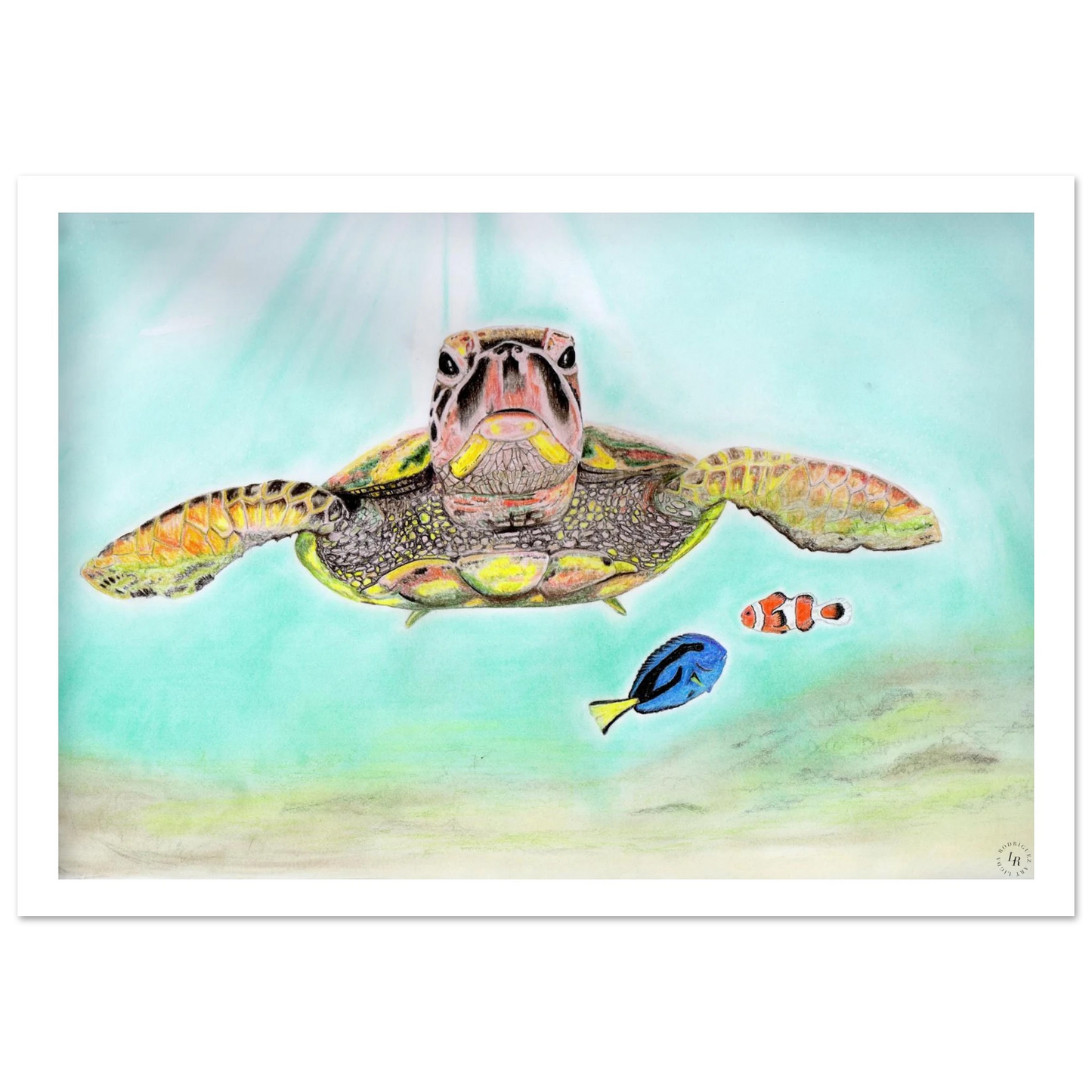 659881d1-b84f-4ddc-b554-c0369d721225