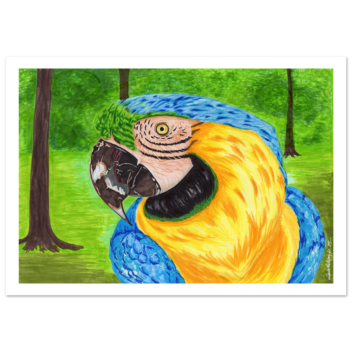 c3edc601-84eb-464c-9355-dced0e764207