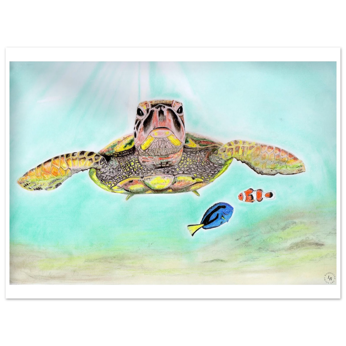 ce2d8319-1686-4dbe-842a-759bb3686703